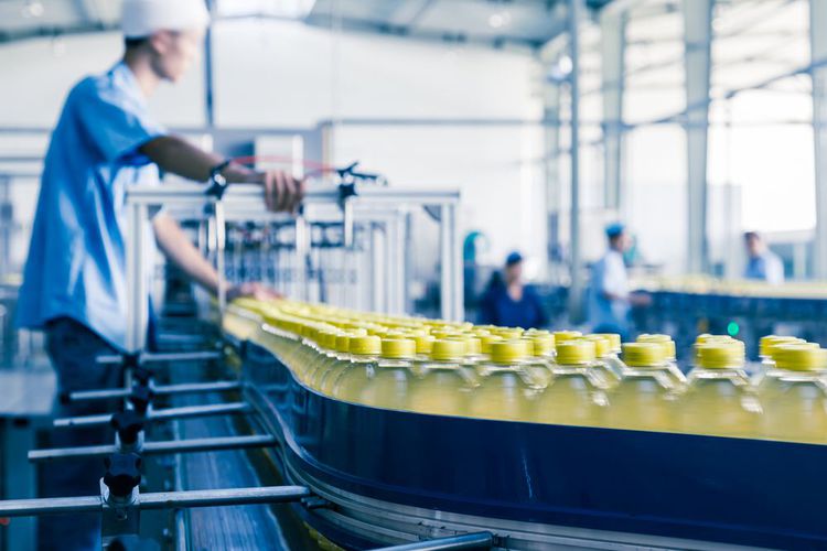 the role of light feeders in the beverage industry  