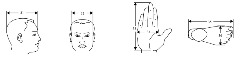 portable anthropometry international standard