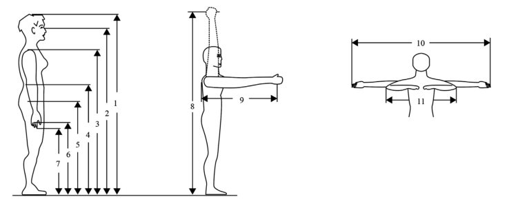 portable anthropometry international standard