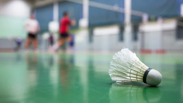 antropometri badminton