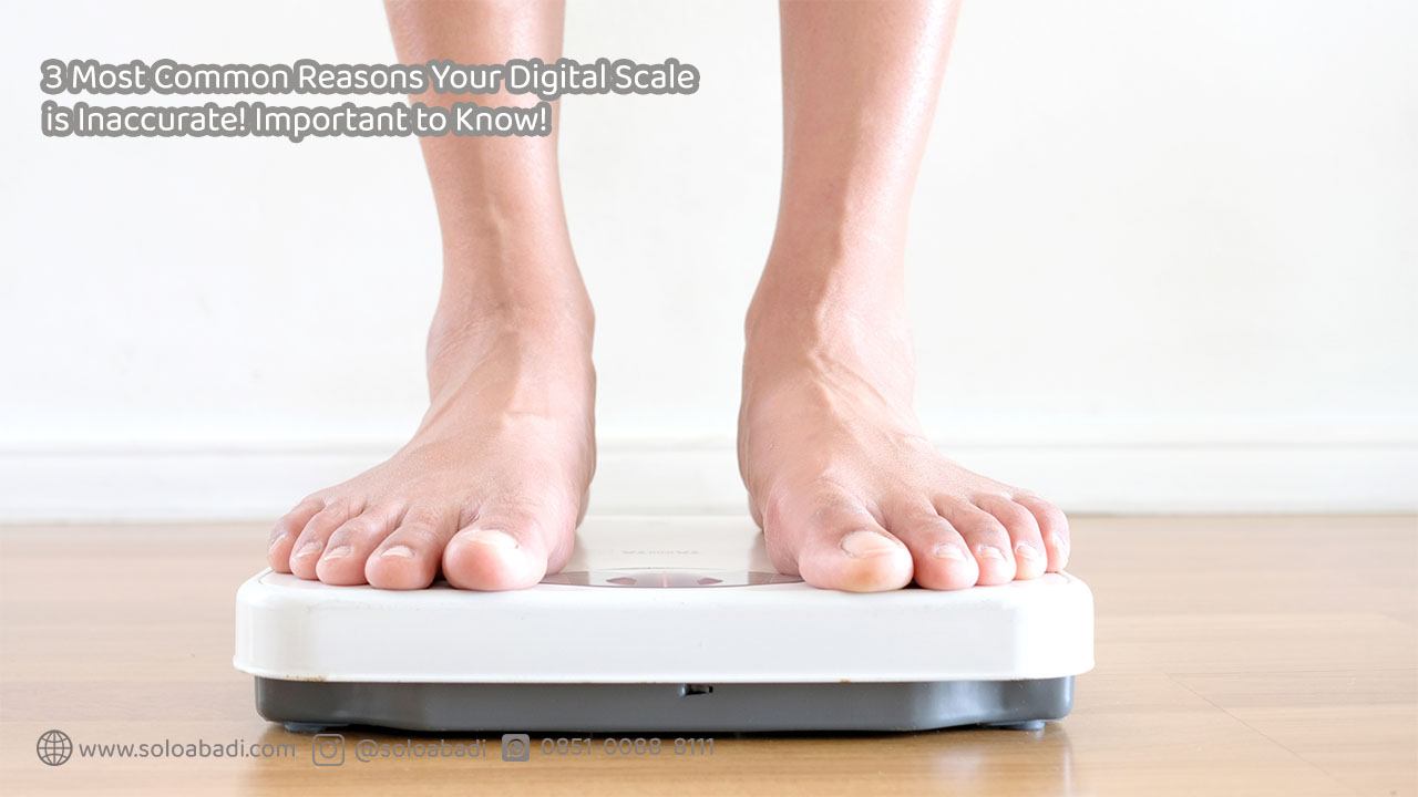 3 Most Common Reasons Your Digital Scale is Inaccurate! Important to Know!
