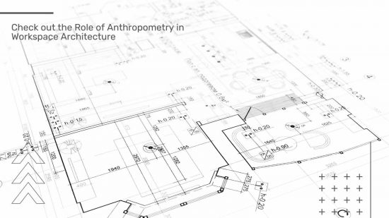 Check out the Role of Anthropometry in Workspace Architecture