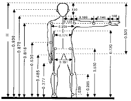 penerapan antropometri