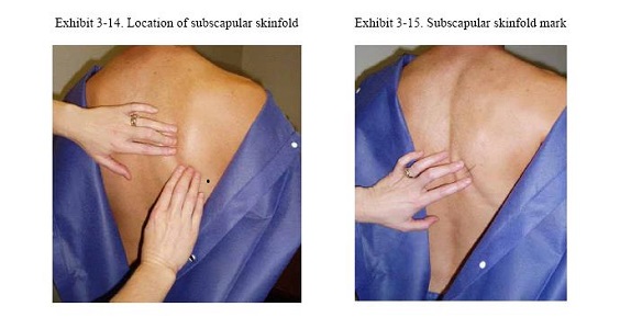 skinfold measurement site