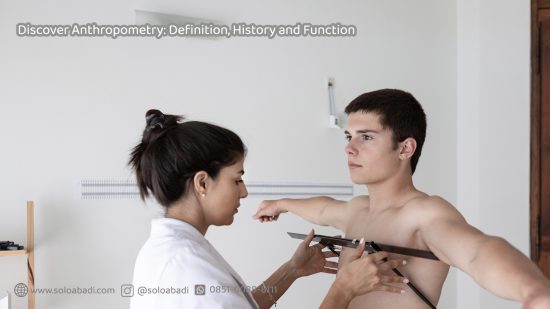Discover Anthropometry Definition, History and Function