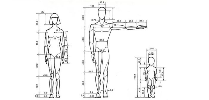 discover anthropometry