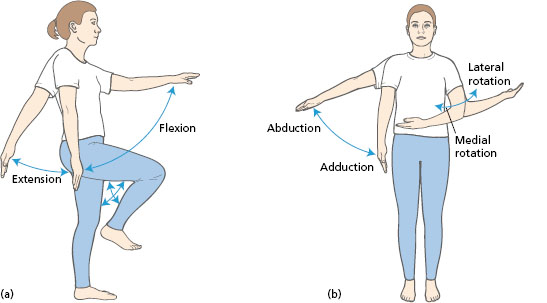 medial and lateral