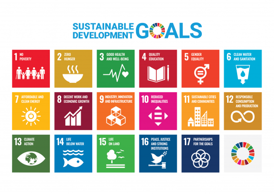 Stunting dalam SDGs Nomor Berapa? Simak Penjelasan Lengkapnya Di Sini!