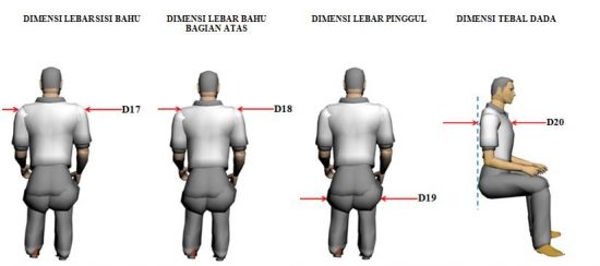 Lebar Manusia Rata-Rata