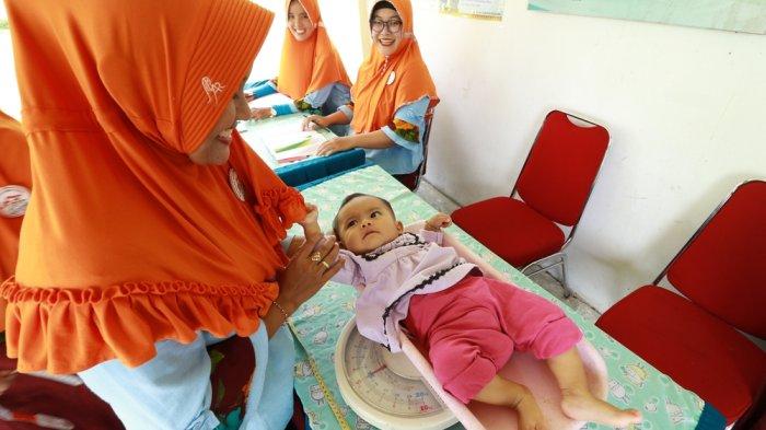 Penambah berat badan bayi