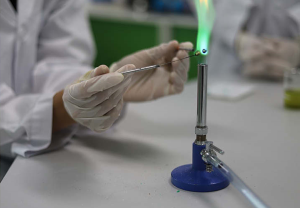 Alat Laboratorium IPA 2025